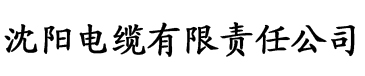 香蕉视频app无限观看污电缆厂logo